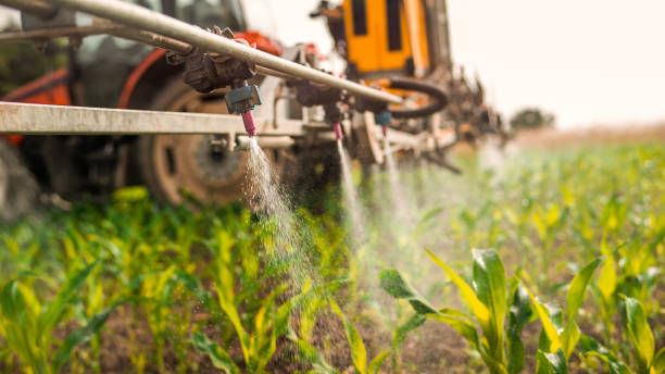 Insect Control in Maltby, WA